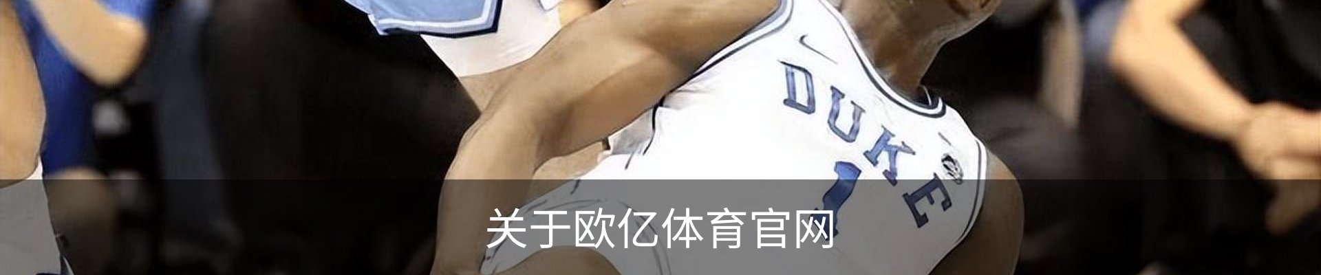 关于欧亿体育官网
